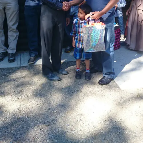 Picnic and Networking 2014 — photo 3